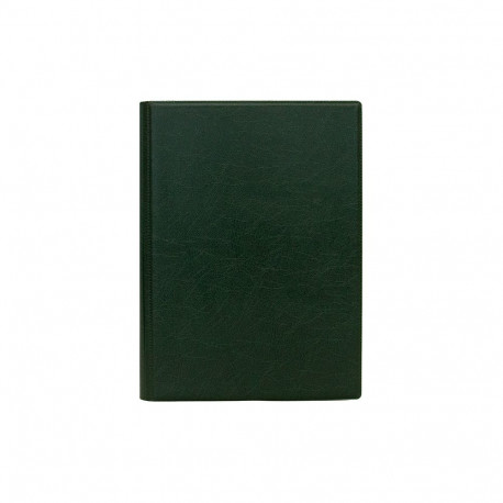 Raamatkalender MINISTER PVC Päev roheline 2912180003