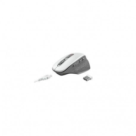 Trust Ozaa mouse Office Right-hand RF Wireless Optical 2400 DPI