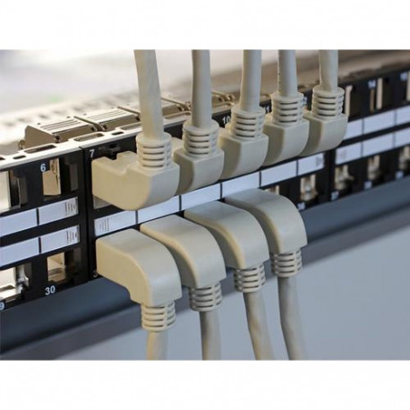 DeLOCK 43280 patch panel 2U