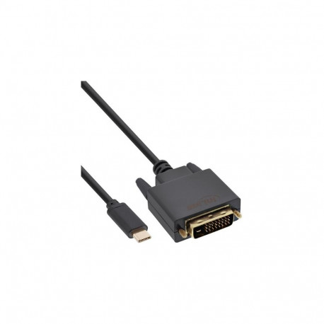 InLine USB Display Cable, USB-C male / DVI male (DP Alt Mode), black, 2m