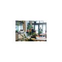 Epson WorkForce Enterprise​ AM-C400