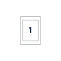Avery Placard Label Holders