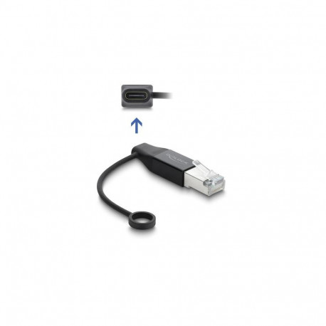 DeLOCK 61101 cable gender changer 1 x USB Type-C 1 x RJ45 Anthracite
