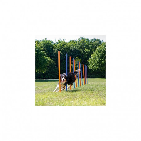 TRIXIE 3206 dog/cat agility equipment 12 pc(s) Blue, Orange Agility equipment kit