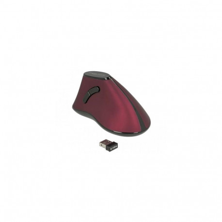 DeLOCK 12528 mouse Office Right-hand RF Wireless Optical 1000 DPI