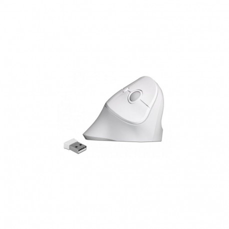 DeLOCK 12596 mouse Office Right-hand RF Wireless 1600 DPI