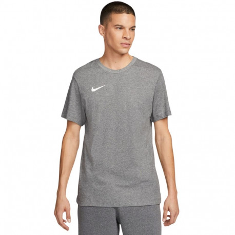 Nike meeste t-särk Dri-FIT Park 20 CW6952 071 L, hall