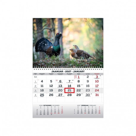 2911050010, Seinakalender Mono pilt 10