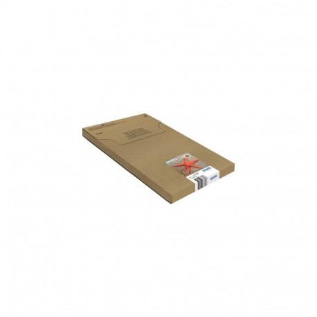 Epson Multipack 4-colours 603XL EasyMail