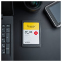 Intenso Top Performance 256GB