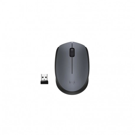 Wireless mouse M170