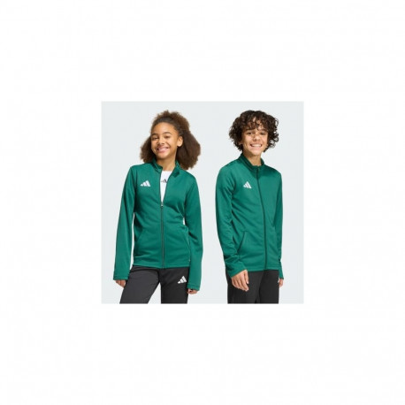 Adidas spordisviiter/kapuutsiga dressipluus KE9837_560