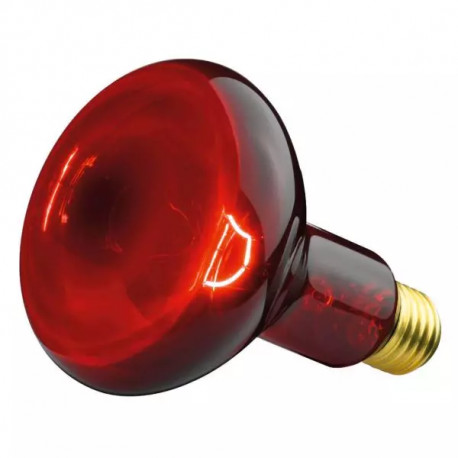 Beurer infrapunalamp 230V R95