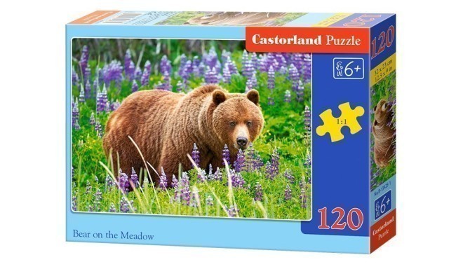 Castorland pusle Bear On T he Meadow 120tk