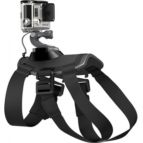 GoPro Fetch (dog harness)