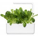 Click & Grow Smart Garden refill Rooma salat 3tk