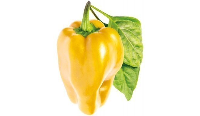 Click & Grow Smart Garden refill Yellow Sweet Pepper 3pcs