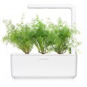 Click & Grow Smart Garden refill Dill 3pcs