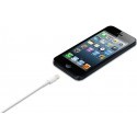 Apple kaabel Lightning-USB 0,5m