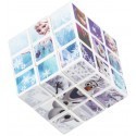 Frozen puzzle cube