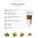 Click & Grow Smart Garden refill Sidrunmeliss 3tk