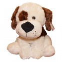 Pies Łatek biało-brązowy 36 cm
