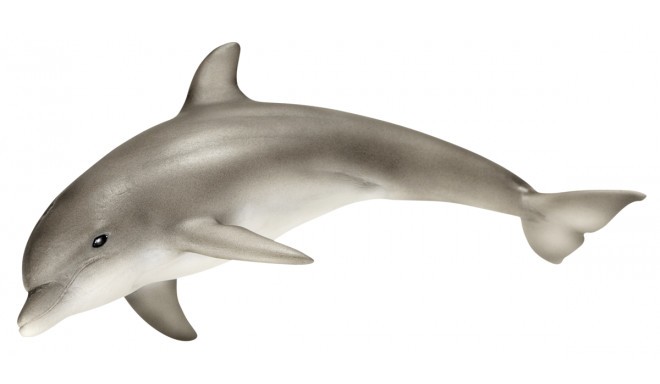 Schleich Wild Life Dolfin