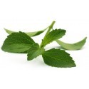 Click & Grow Smart Garden refill Stevia 3pcs