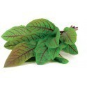 Click & Grow Smart Garden refill Bloody Sorrel 3pcs