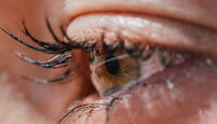 #photopoint_rent: Tamron 90mm f/2.8 Di III Macro VXD aitab maailma näha teise pilguga