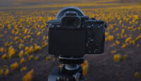 Sony Alpha nipid: seadista C-nupud ja menüüd enda järgi